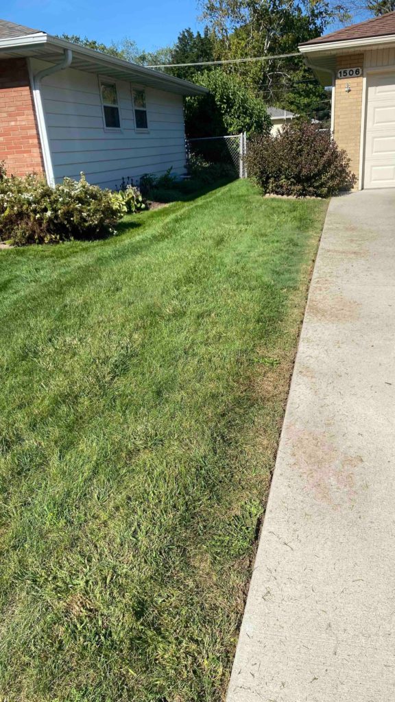 After Mow and Edging Service