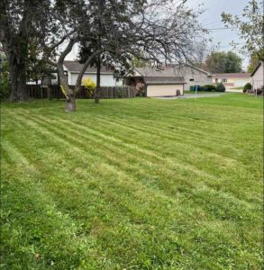 Lawn mow with stripes